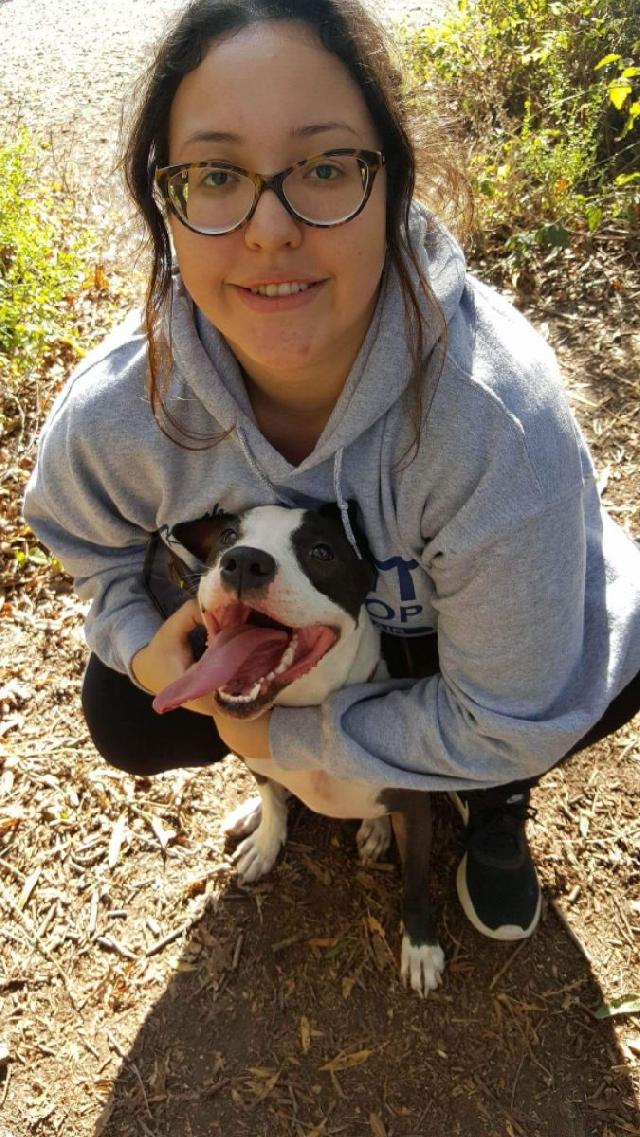 Pet Boarding in Lincoln Avenue, Pomona Friendly Pet Boarding