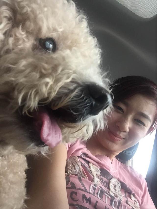 Pet Hotel Home Pet Boarding in Telok Kurau, Singapore Exclusive 24