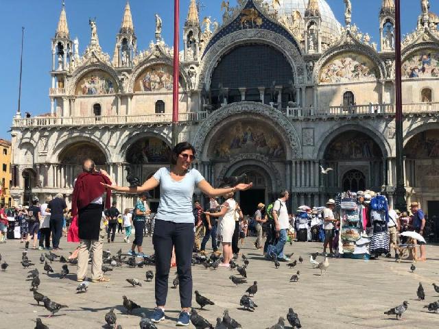 pet transport service near me