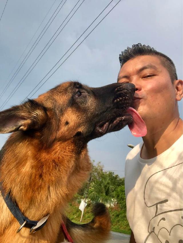 Pet Hotel Home Pet Boarding in Puchong, Taman Kinrara Seksyen - Main Image