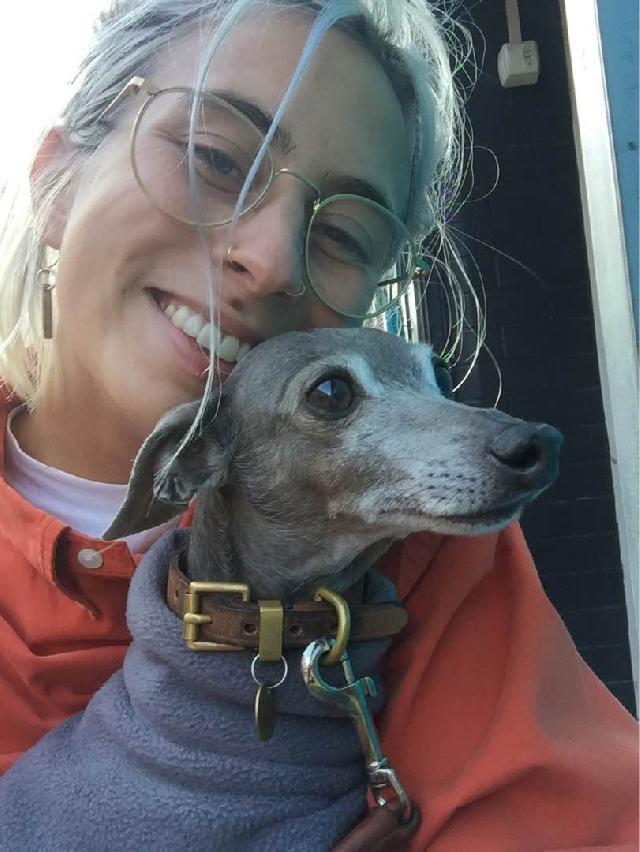 Pet Boarding in Woodlands, Glasgow, Glasgow City Pixiespetsitter