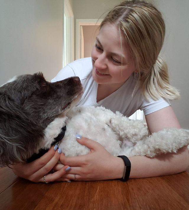 Pet Grooming in Toronto , Toronto Dynamic Duo Pet Care PetBacker