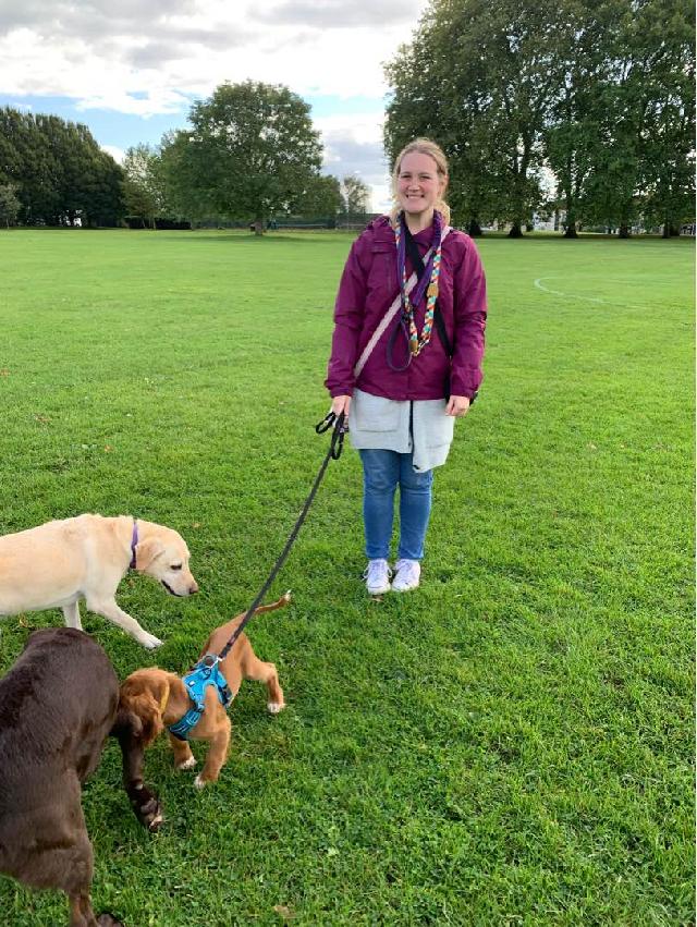 Dog Sitter in Cotman Walk, City Of Bristol Hollie’s Pet Sitting