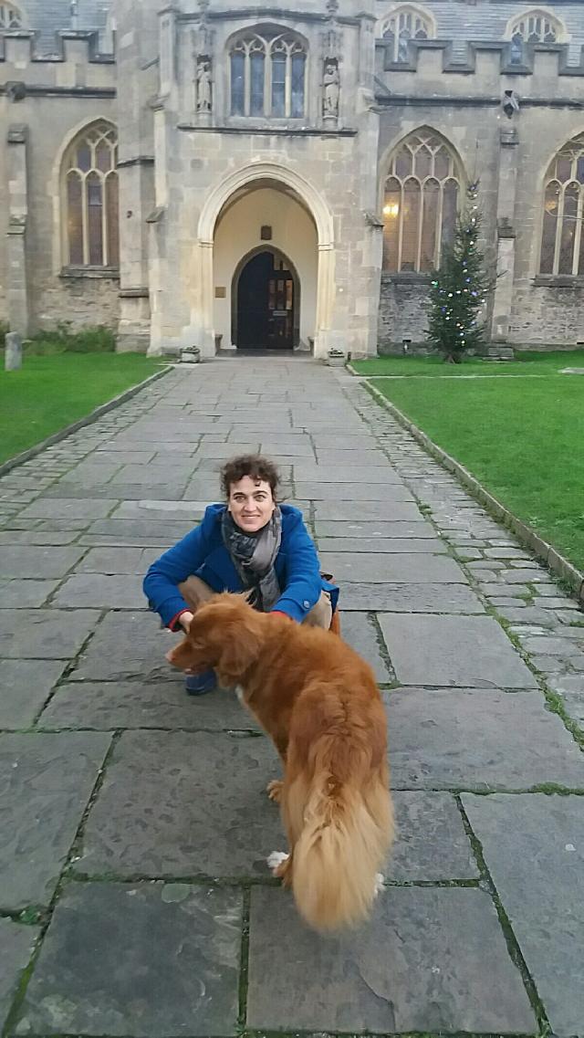 Pet Boarding in BRISTOL, Bristol BS5 Home From Home PetBacker Home