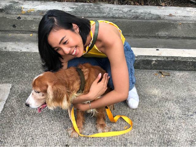 cheap dog sitters near me