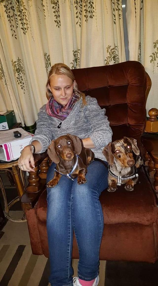 Dog Walking in Fourways, Surrounds, Randburg Krayz Pet&house Sitting