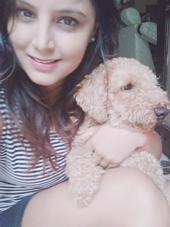 Dog, Bird Hotel Home Pet Boarding in Sector 71, Noida Happy Paws Dog