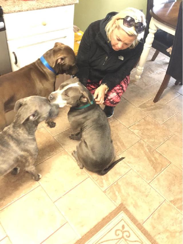 Dog Walking in Warner Robins area , Bonaire Ancasus PetBacker