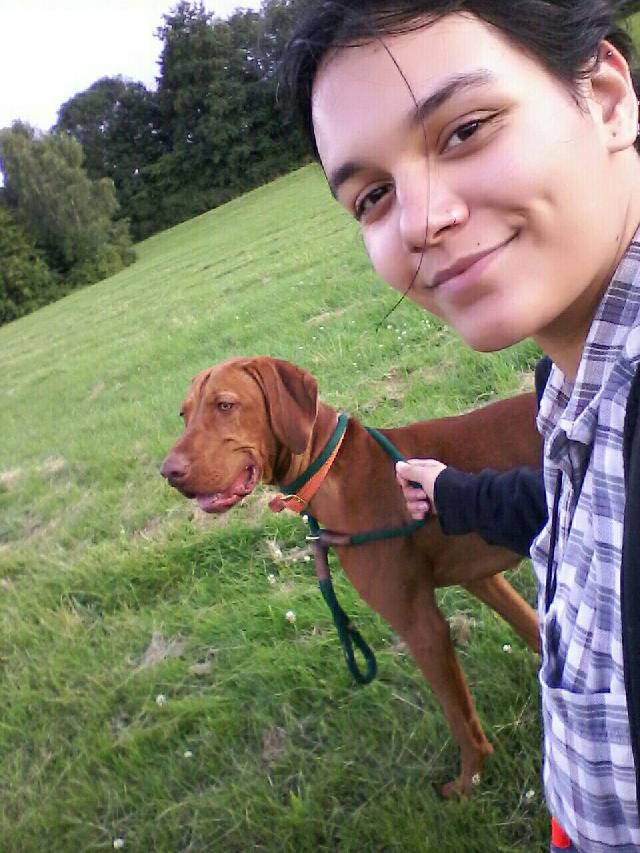 Pet Boarding in Sheffield , Sheffield S13 Pet Boarding PetBacker