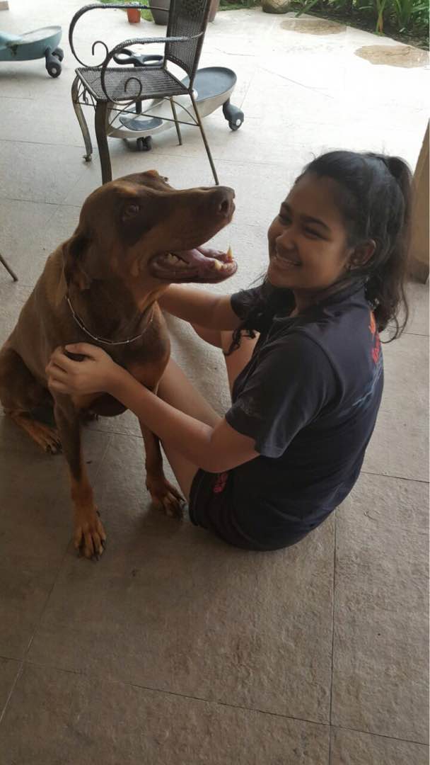 Pet Hotel Home Pet Boarding in Sembawang Road, Woodlands Krissy’s