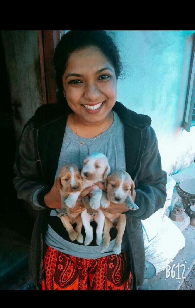 Pet Sitter in Sydney Nova Scotia, Sydney Risnia Dog Boarding