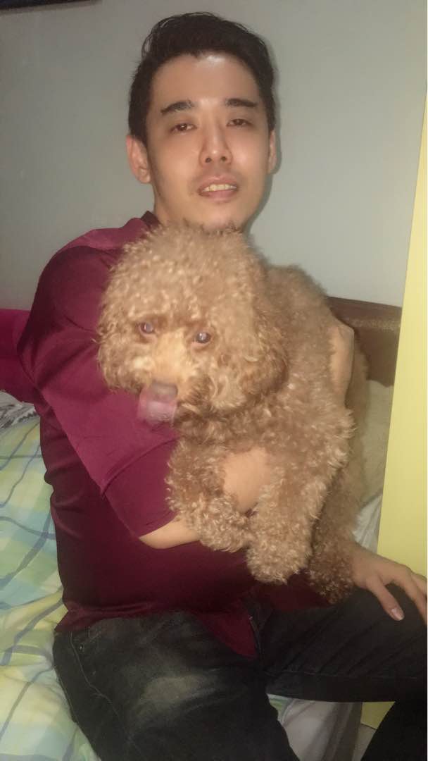 Dog Sitter in Potong Pasir , Serangoon Pet House Sitting In Central