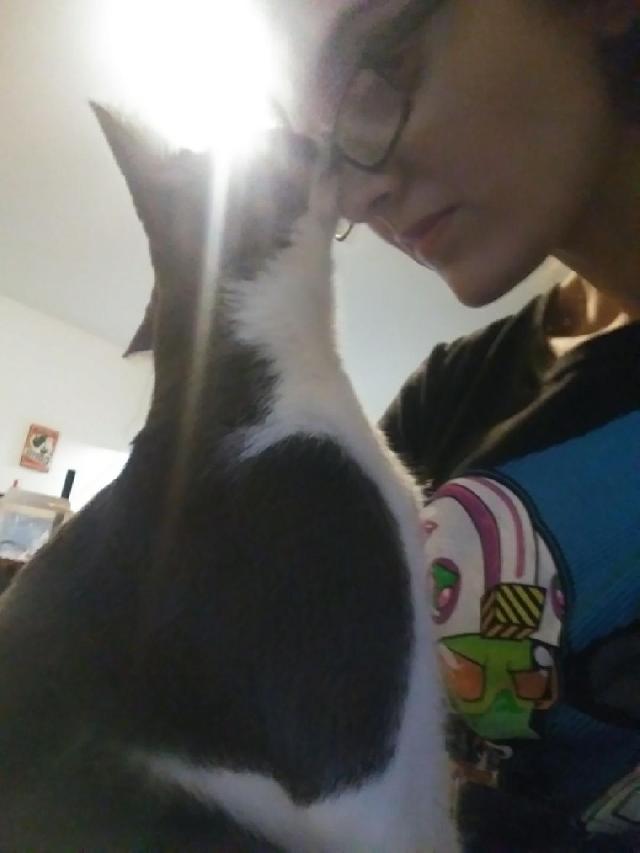 Pet Boarding in Los Angeles, Los Angeles La Pet Services PetBacker Home Pet Hotel