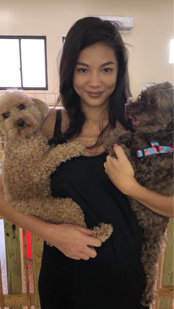 Pet Hotel Home Pet Boarding in Taipei, Beitou District Mini’s Boarding House PetBacker Taipei