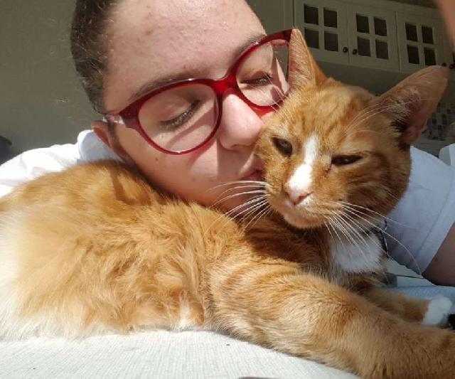 Pet Sitter in Fourways, Fourways Johannesburg Private Pet Sitter