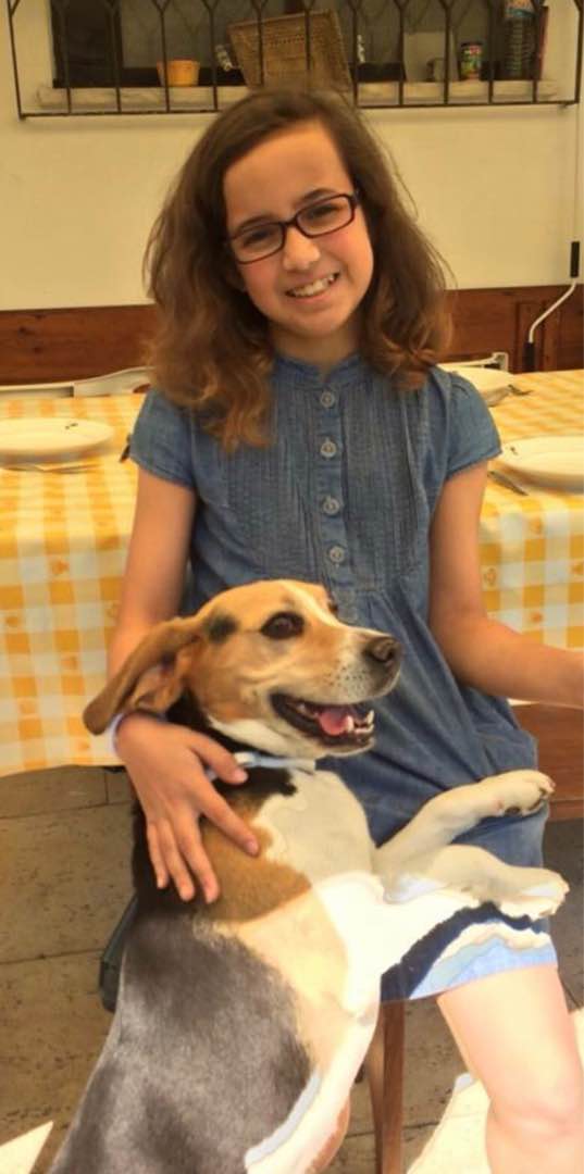 Pet Sitters Dog Walking Crayford Veterinary Doctor Pets At Home