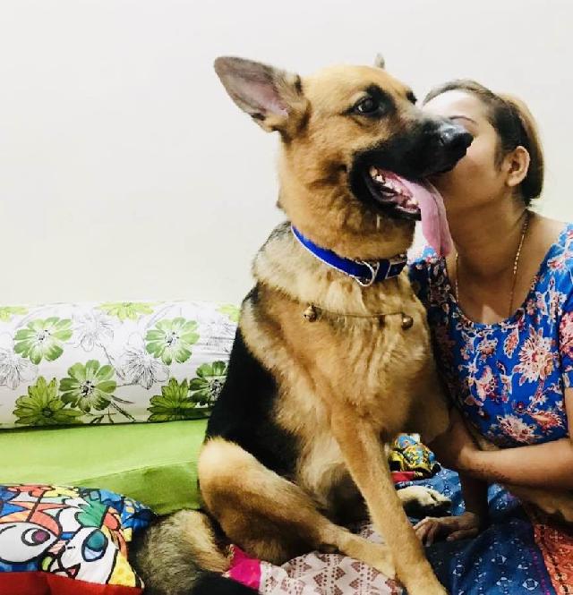 second home dog boarding