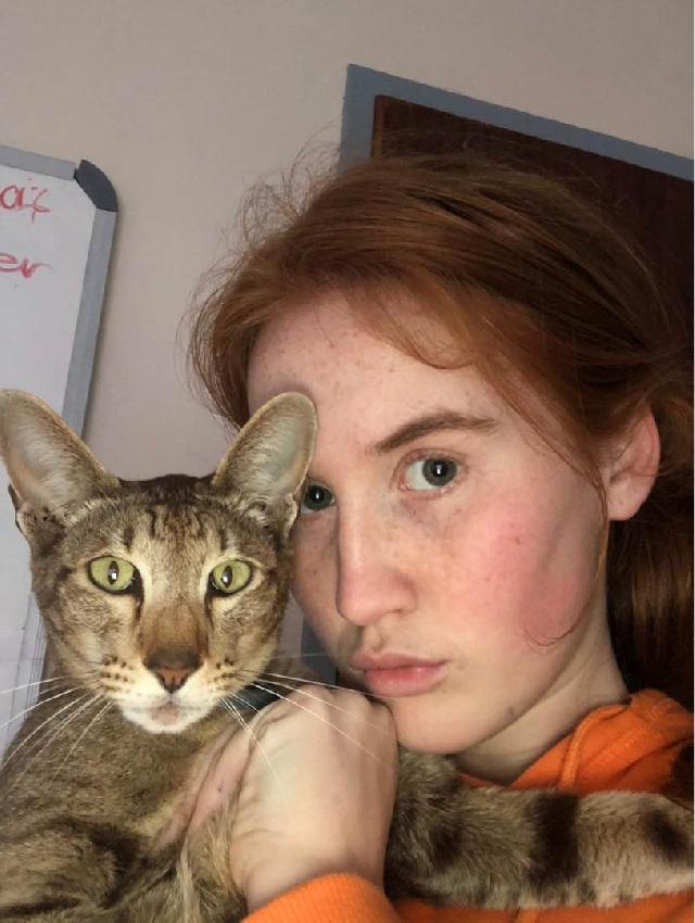 Pet Grooming in Durbanville , Durbanville Cape Town Grooming