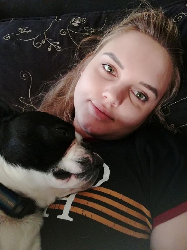 wash and go dog grooming