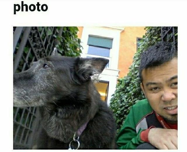 live in dog sitters near me