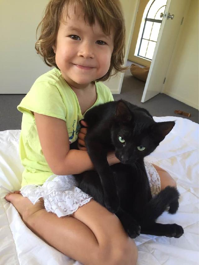 Dog Walking in East coast park, Auckland Rainbow Walk PetBacker