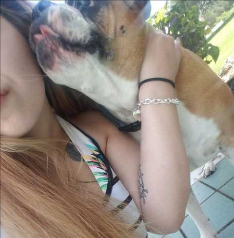 northpoint pet lover