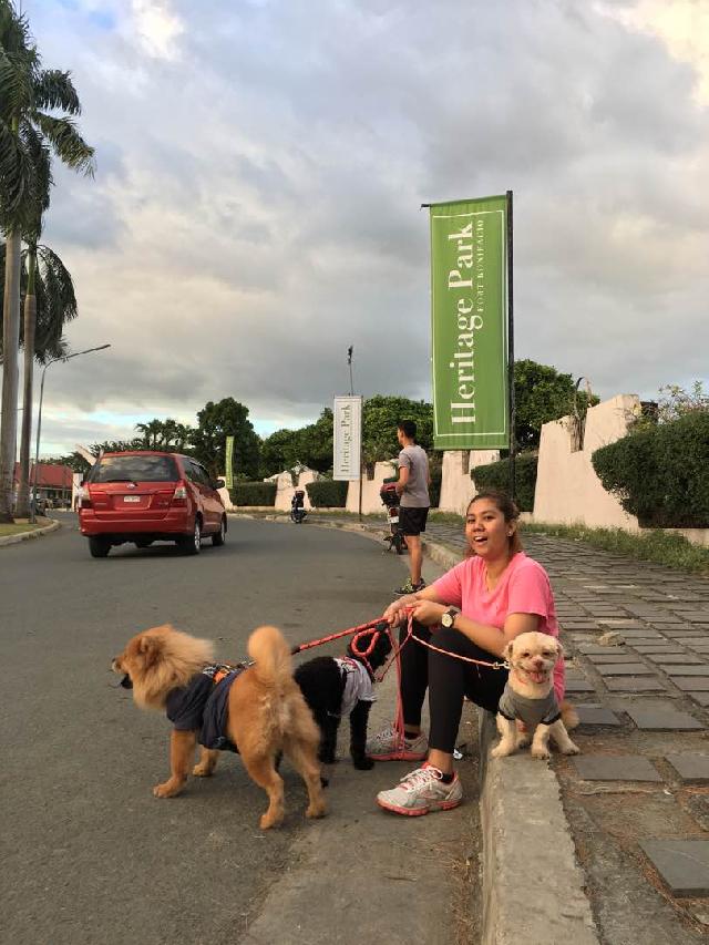 Pet Hotel Home Pet Boarding in Kasoy Street, Taguig Taguig