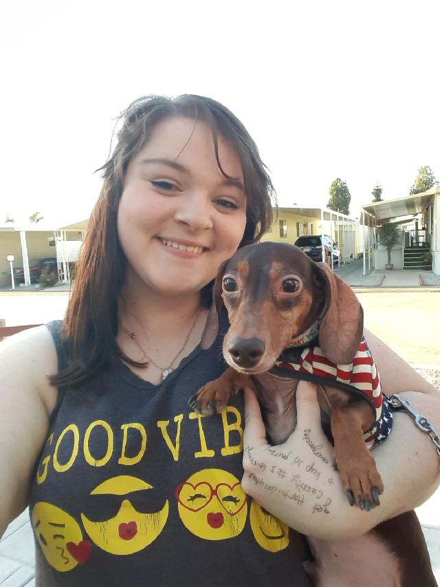 Pet Sitter in Meadow Grove Street, Hemet Diana's Doghouse PetBacker