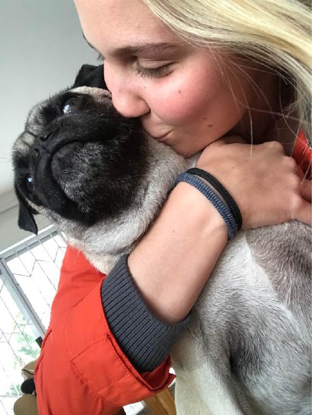 Pet Sitter in Cape Town, Observatory Claire’s Pet Care PetBacker