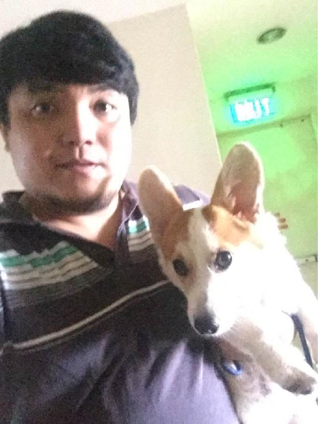 Dog Hotel Home Pet Boarding in Market Market, Taguig Bgc Pet Boarding PetBacker Metro Manila