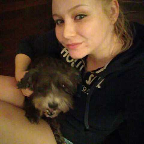 emily's pet care services