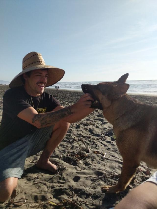 dog boarding peninsula