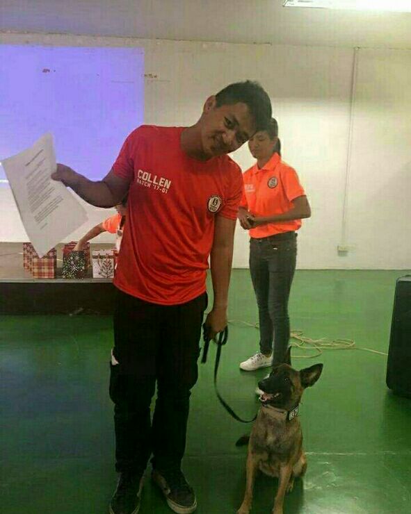 affordable dog training classes near me