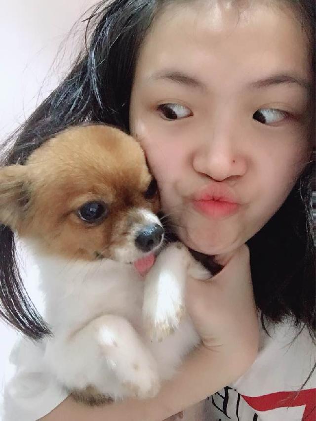 jeannie's doggy daycare