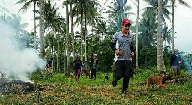 Pet Training in Binay Street, Pasay Collen's K9 Training