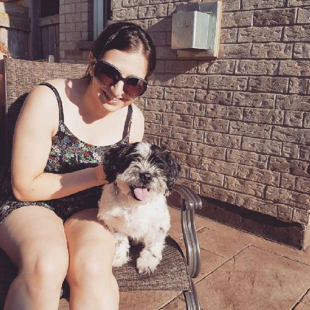 dog night care near me