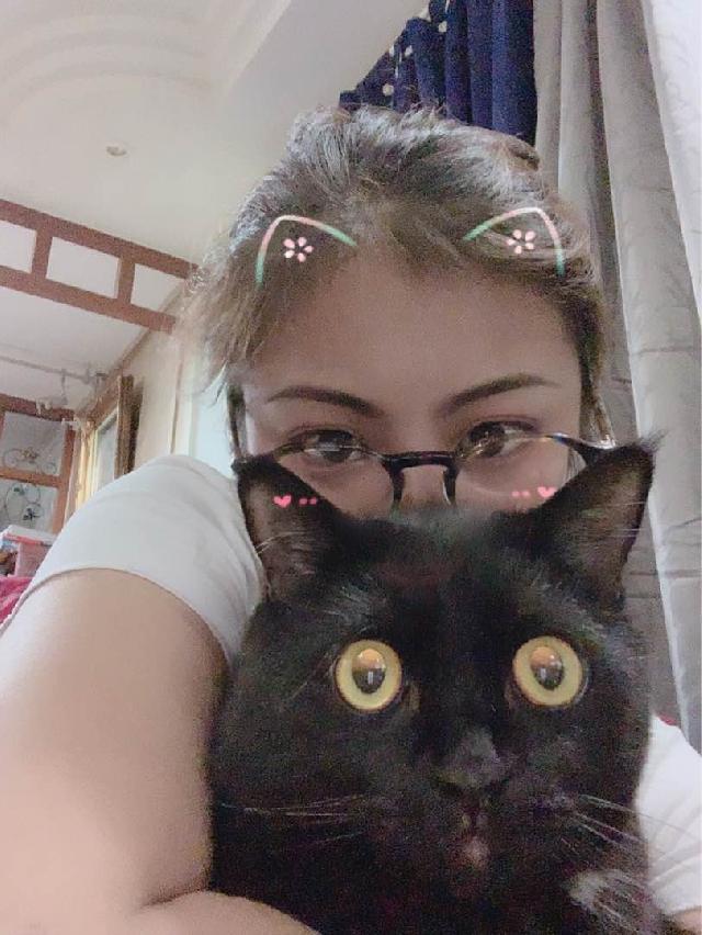 Pet Hotel Home Pet Boarding in Islandwide , Yishun Luna Boarding