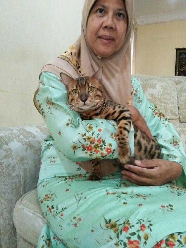 Kuala Lumpur Best Pet Hotel Home Boarding KL PetBacker Eda