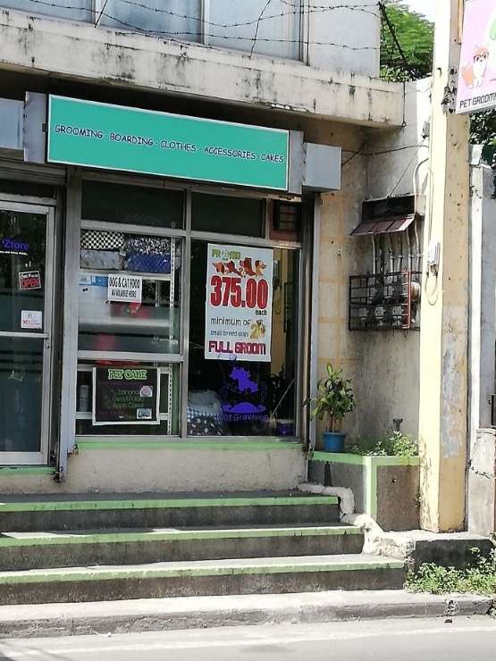 Dog, Cat Grooming in rizal blvd. laguna, Santa Rosa Pup