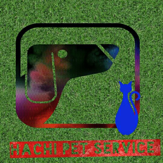 Pet Hotel Home Pet Boarding in Lapu Lapu City, Lapu-Lapu City