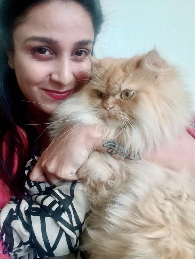 Dog, Cat Hotel Home Pet Boarding in Abu Dhabi, Zone 1 Furry Home For