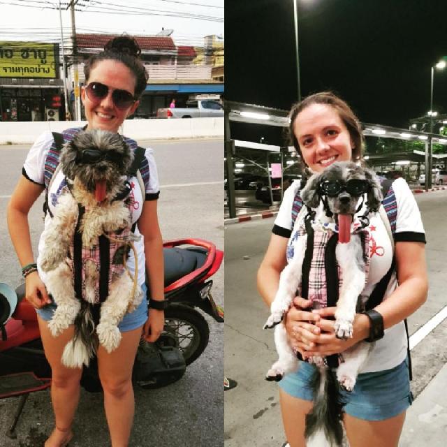 Pet โรงแรมรับฝากสัตว์เลี้ยงตามบ้าน ใน Mahidol Salaya Area, ,มหาสวัสดิ์ Kayla's Pet Boarding