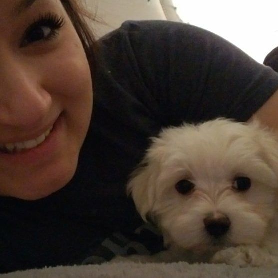 Pet Boarding in Milford Delaware , Milford Milford Pet Boarding