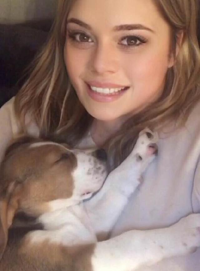 Pet Boarding in Belfast, Belfast BT9 Belfast Personal Pet Boarding