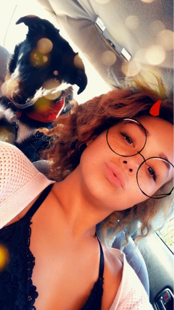 Pet Boarding in GTA, Oakville Vet Student Animal Care PetBacker