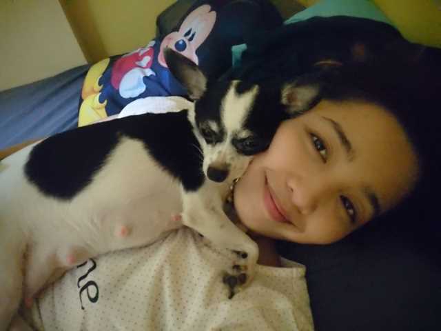 jeannie's doggy daycare