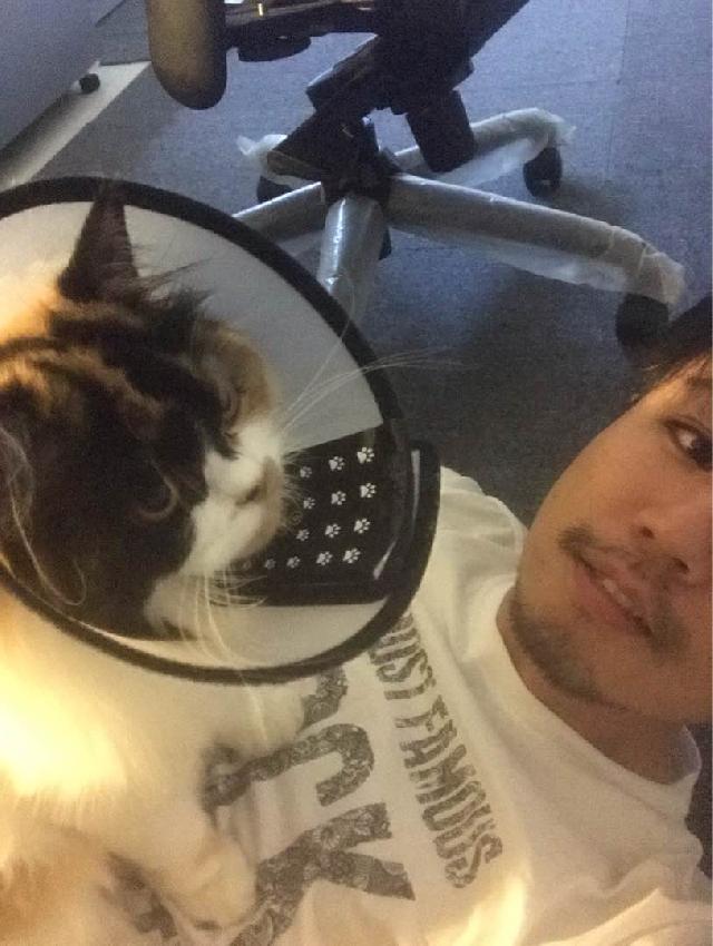 Pet Sitting Places That Board Cats Near Me Ho Chi Pet Sitting Near