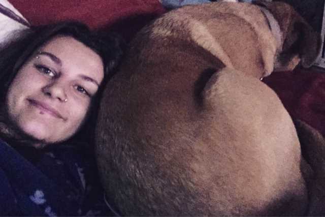 Pet Sitter in Calgary Calgary Calgary House/pet Sitting