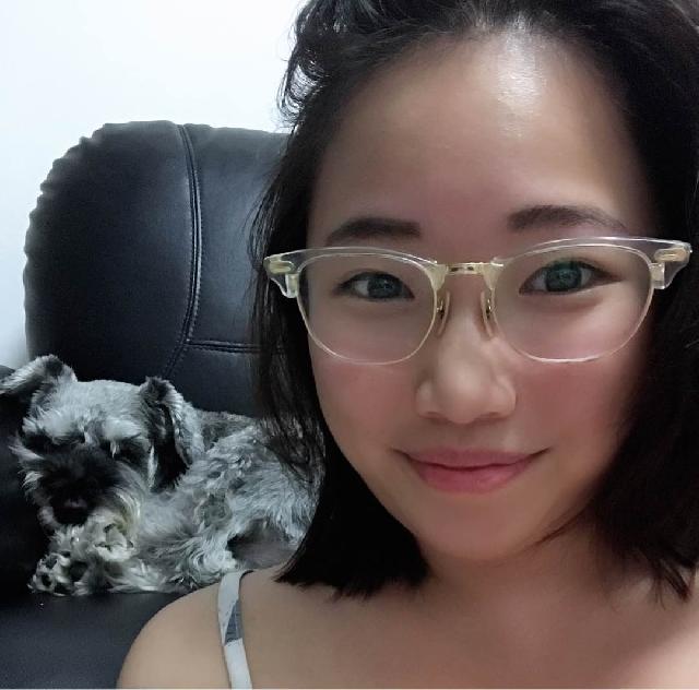 Pet Hotel Home Pet Boarding in Balestier, Novena, Novena Butterfly