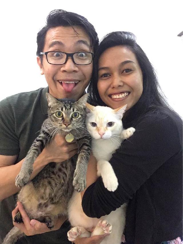 Cat Hotel Home Pet Boarding in Cyberjaya, Nilai Nugget & Pesto Cat